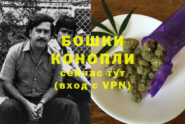 дурь Белоозёрский