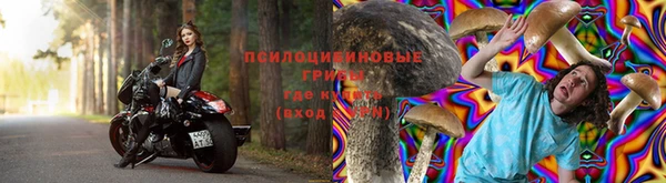 дурь Белоозёрский