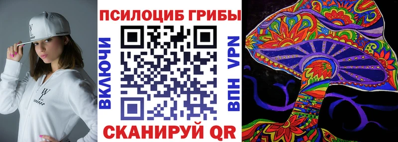 Псилоцибиновые грибы мицелий  Городище 